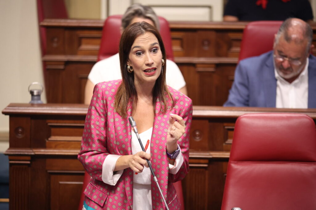 La consejera Asián señala que el gravamen al combustible es una medida voluntaria para los cabildos