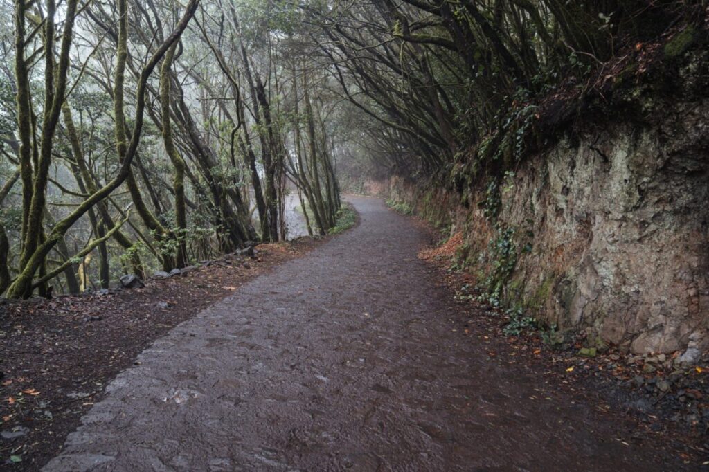 La Gomera licita los trabajos de mejora paisajística y accesibilidad al Parque Nacional de Garajonay