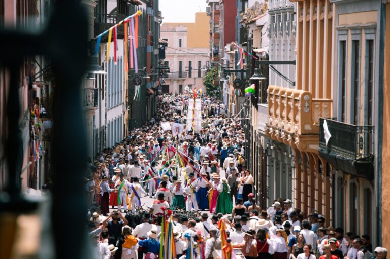 La Laguna se prepara para la Romería Regional de San Benito Abad con 80 carretas y 35 agrupaciones folclóricas