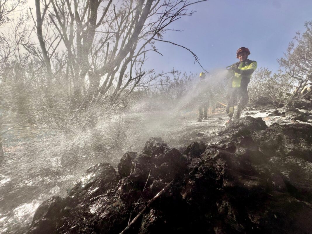 Incendio forestal de El Tanque. Germán González / RTVC