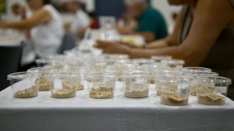 La Palma celebra el XI Concurso Agrocanarias para elegir el Mejor Gofio de Canarias