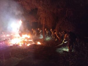 Miembros de bomberos forestales en las alabores de extinción del incendio de Méntrida (Toledo) / Atbrif
