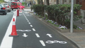 Se trata de una paralización que de momento se mantendrá hasta que el Tribunal Supremo confirme si se mantiene o no este carril bici
