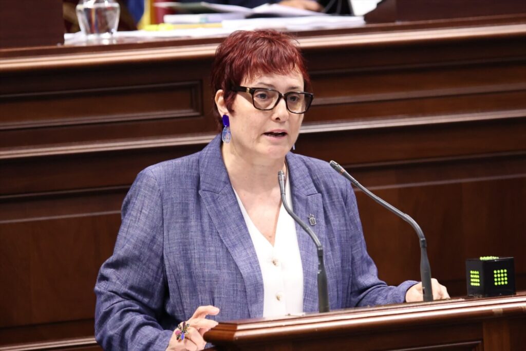 La consejera de Bienestar Social del Gobierno de Canarias, Candelaria Delgado, en el Pleno del Parlamento