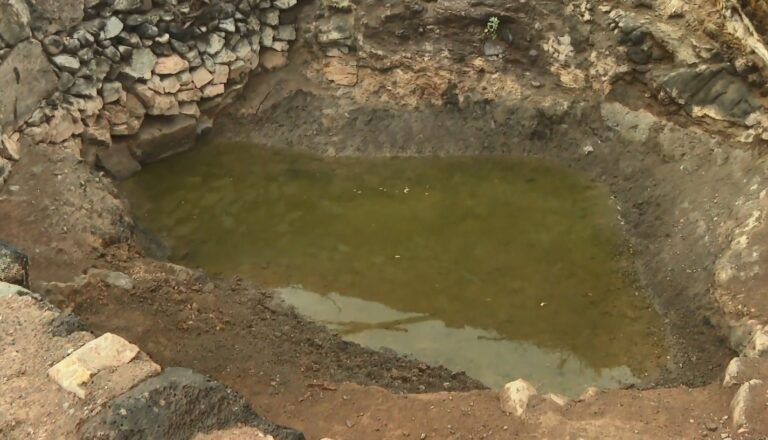 Puerto del Rosario acondiciona con ayuda de ganaderos la fuente de La Culata