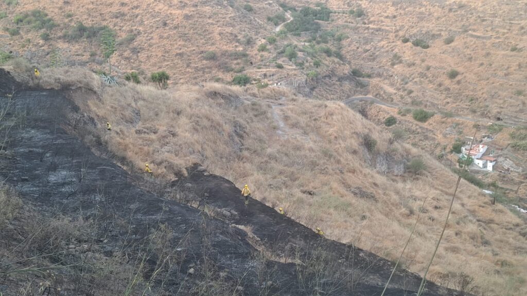 Los efectivos continúan enfriando la zona del incendio forestal en el Juncalillo, en Gran Canaria / Cabildo de Gran Canaria 