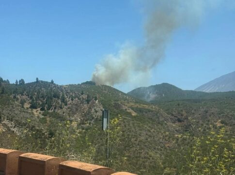 Última hora minuto a minuto | Activado un conato de incendio en Tenerife