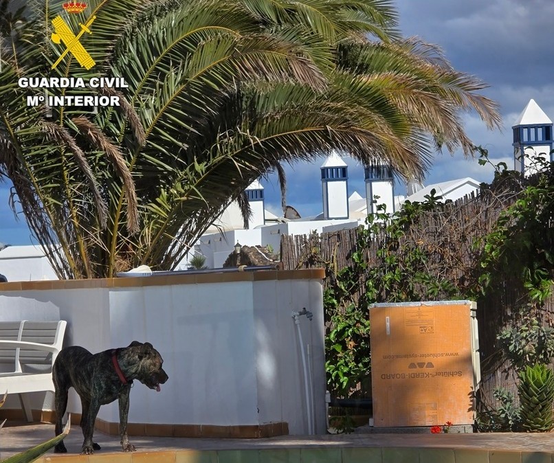 Investigado un vecino por presunto maltrato animal tras numerosos ataques de sus perros. Foto Guardia Civil