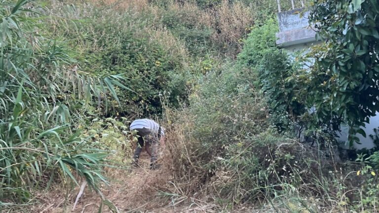 Investigan a un hombre por intentar quemar el monte de Moya