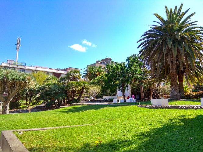 La agresión tuvo lugar en Santa Cruz de Tenerife en el contexto de una pelea en la que se atacaron con un arma blanca