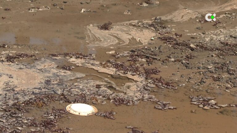 Actualizan el censo de vertidos de Canarias para avanzar en su regulación y control al mar