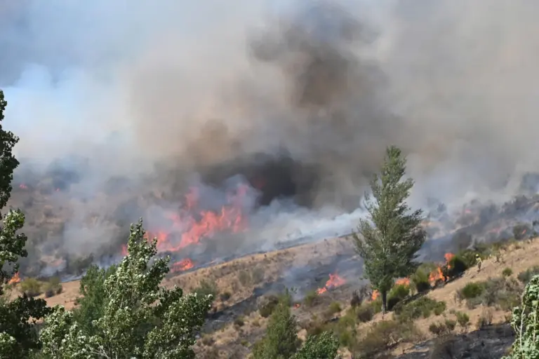 España encara un agosto negro con miles de hectáreas arrasadas por los incendios