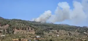 Conato de incendio en El Pinar, El Hierro. Imagen Cabildo de El Hierro