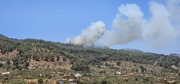 En directo: El Cabildo de El Hierro informa de dos conatos de incendio casi de manera simultánea