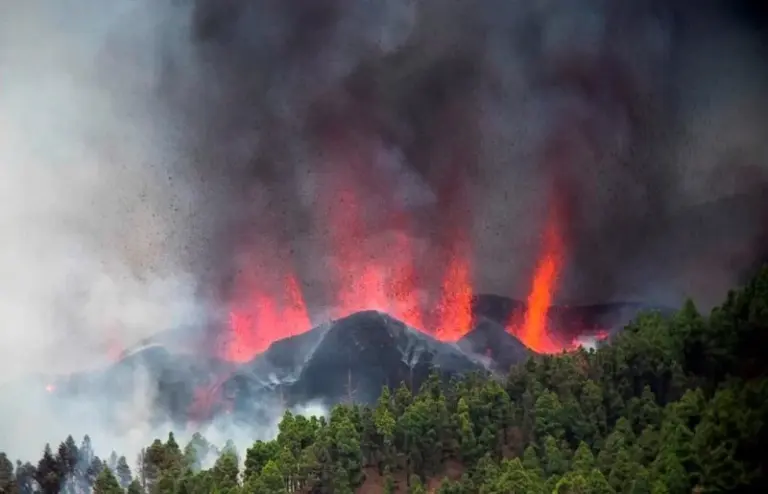 Seis colectivos de afectados por la erupción de La Palma avalan recurrir ante el TSJC