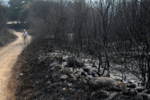 El fuego declarado en la localidad leonesa de Yeres y que ha afectado al espacio natural de Las Médulas, catalogado por la Unesco como Patrimonio de la Humanidad y corazón turístico de la comarca leonesa de El Bierzo, ha dejado una sensación entre los vecinos de vivir un infierno del que tardarán años en salir. EFE/Ana F. Barredo