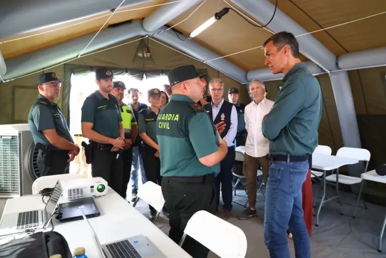 El Gobierno declarará zona de emergencia los territorios afectados por los incendios