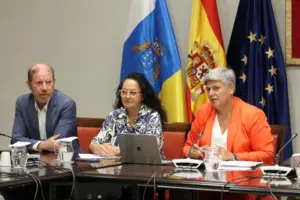 La comisionada de Transparencia y Acceso a la Información Pública de Canarias, Noelia García en el Parlamento de Canarias. Imagen Comisionado de la Transparencia