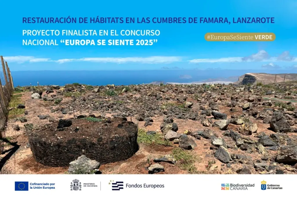 El proyecto de restauración de las Cumbres de Famara, finalista en el concurso nacional ‘Europa se Siente’