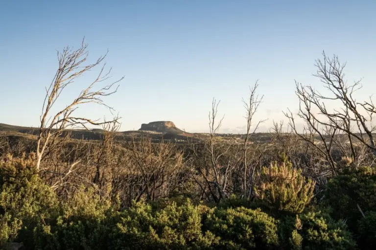 Ya se puede hacer uso de los senderos en La Gomera, pero se pide cautela Ya se puede hacer uso de los senderos en La Gomera, pero se pide cautela