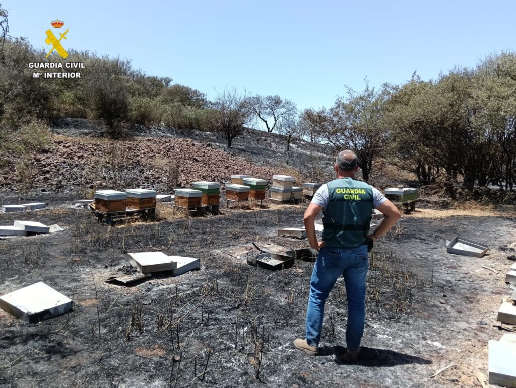 Investigan a un hombre como presunto autor del incendio de El Tanque