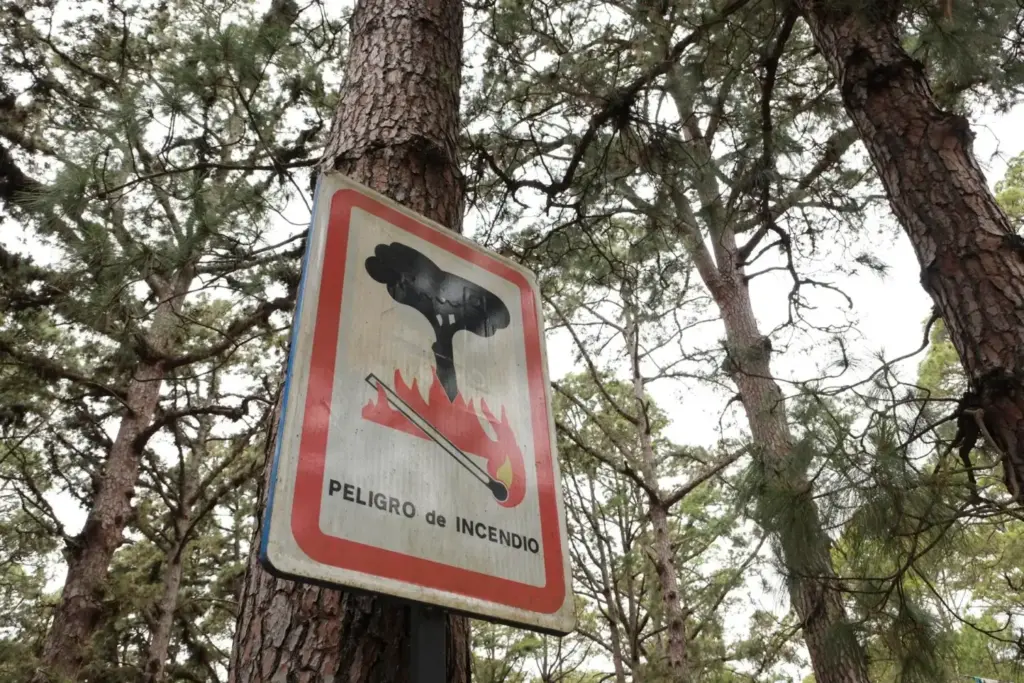 Quiénes y cómo combaten los incendios forestales en Canarias