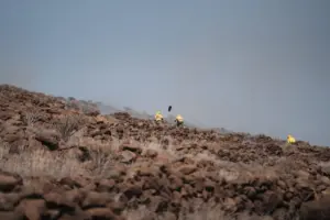 Como medida de prevención frente a incendios, la limpieza de huertos es responsabilidad de los propietarios, pero las autoridades pueden actuar