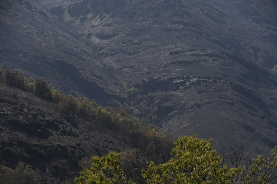 La situación de los incendios mejora en Galicia, con solo dos fuegos activos