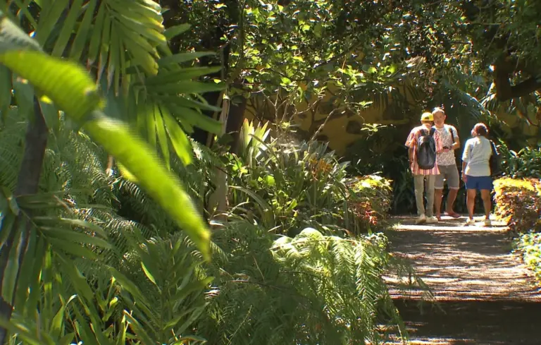 El Jardín Botánico de Puerto de la Cruz cumple 237 años