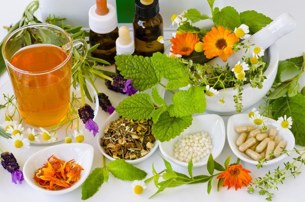 Cabe destacar que aunque las plantas sean naturales cuentan con contraindicaciones que conviene saber antes de consumirlas