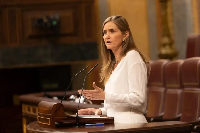 La Diputación Permanente del Congreso debate varios requerimiento del PP