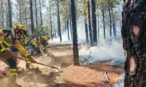 Trabajos de extinción en el incendio de El Hierro. Imagen @AT_Brif