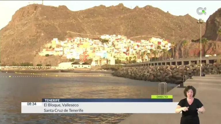 Prohibido el baño en El Bloque, en Tenerife, por la aparición de peces muertos, aceite y residuos