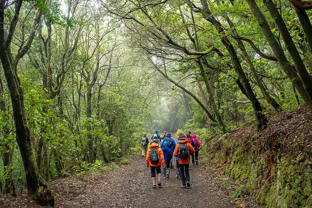 El Anaga Biofest desarrollará rutas etnográficas y actividades de impacto positivo en el territorio