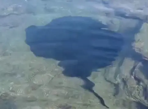 Rescatan a un chucho atrapado en el Charco de San Lorenzo, en Moya