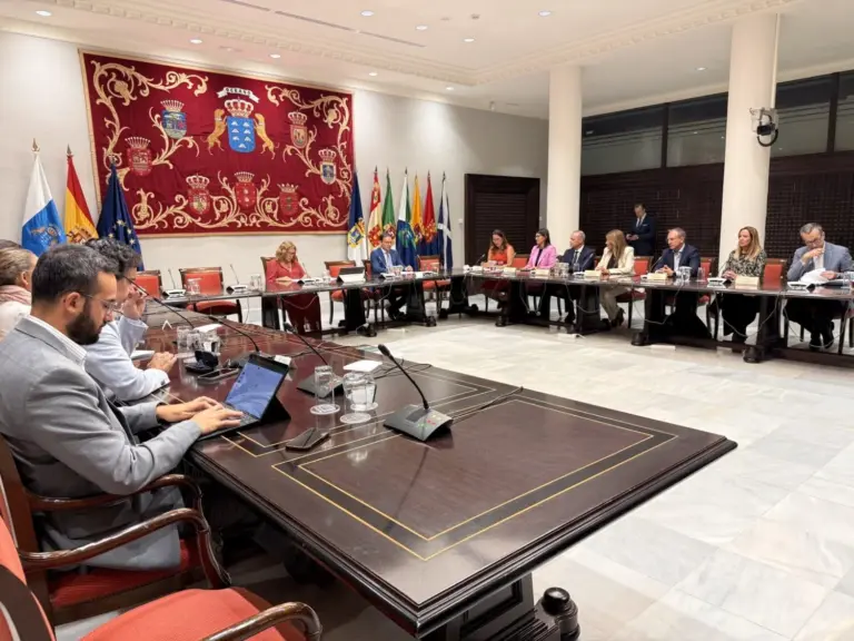 Los cabildos trasladan a los grupos parlamentarios su propuesta para blindar competencias