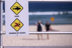 Señal de advertencia en la playa de Bondi, en Sídney (Australia) | Europa Press / Bai Xuefe