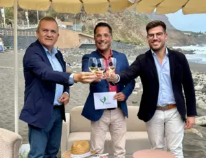 Presentación de la Gran Fiesta de Vinos de Tenerife. Imagen Ayuntamiento de Los Realejos