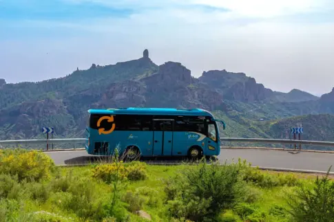 El transporte interurbano regular inicia su huelga en la provincia de Las Palmas