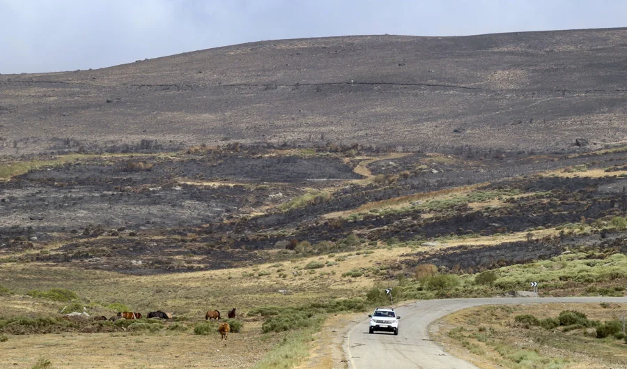 El incendio forestal de Porto (Zamora). Imagen EFE