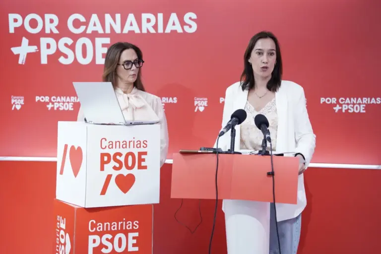 El PSOE Canarias denuncia la paralización de la inversión social del Gobierno canario