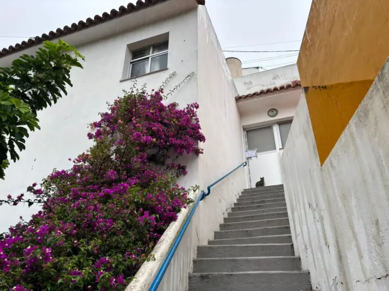 Un hombre mata a su madre a puñaladas en Las Palmas de Gran Canaria