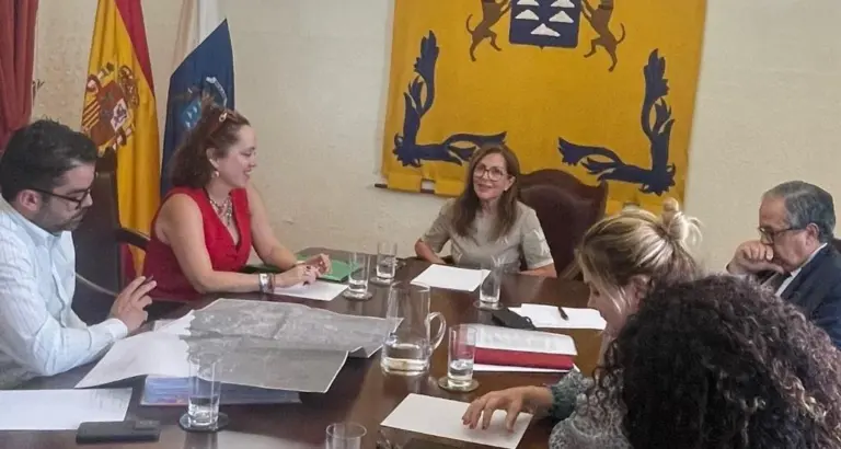 La Diputación del Común investigará las denuncias de las comunidades regantes de La Palma tras el volcán