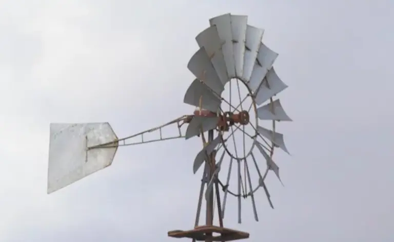 La historia del agua en Fuerteventura: un legado de ingenio y supervivencia