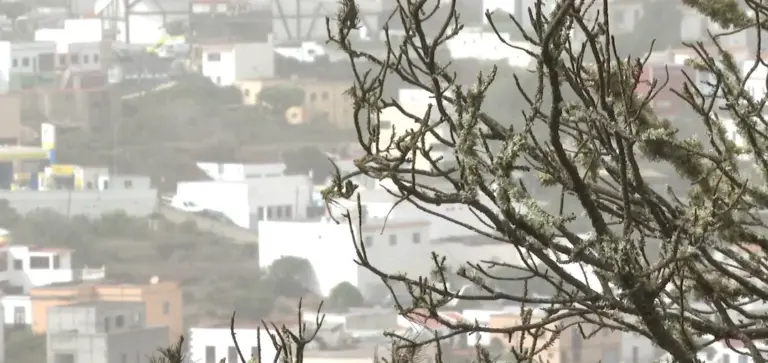 Lluvia, granizo y calima en el norte de Gran Canaria