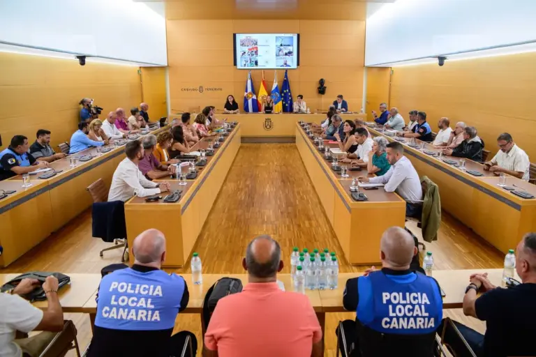 El Cabildo y los municipios de Tenerife se reúnen para analizar el mapa de riesgos volcánicos de la isla