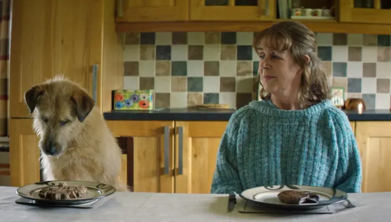 Una tarde de cine entre la ciencia ficción y el humor irlandés