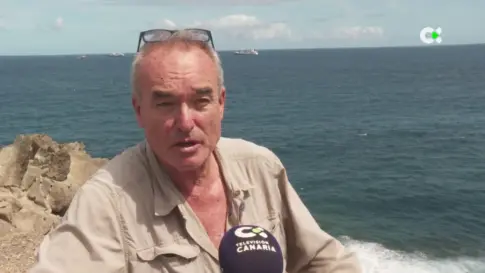 Liberado el alcatraz rescatado en la costa de Gran Canaria hace dos semanas