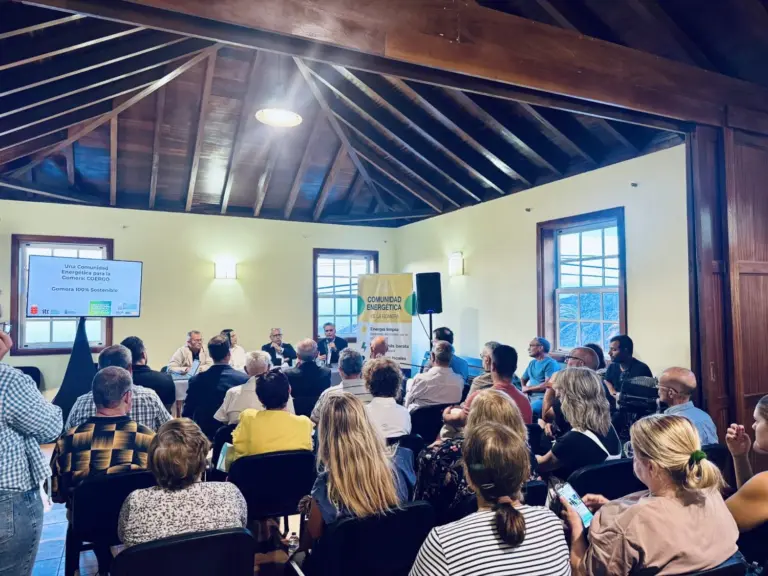 Puesta en marcha de la primera central fotovoltaica de La Gomera