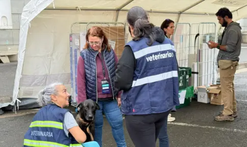 Canarias prueba su capacidad de respuesta ante un incendio forestal